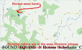 FOUND EQUINE: 3 Horses Schoharie Co Near Richmondville, NY, 12149